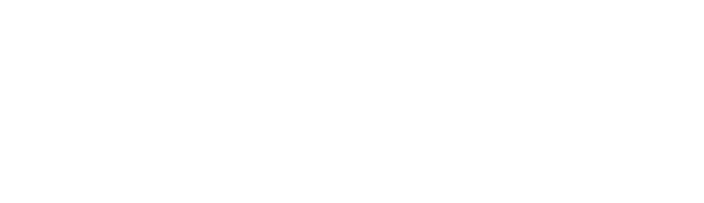 Flurix logo
